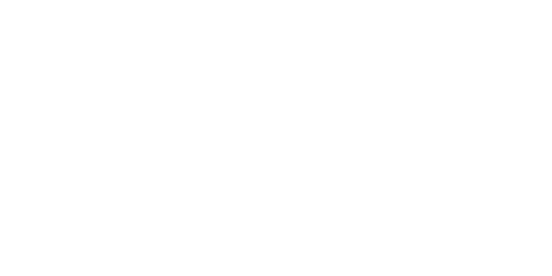 https://www.oakmgtllc.com/wp-content/uploads/CompanyOverview_FreightCarriers_Logo_Steel_White_D.png